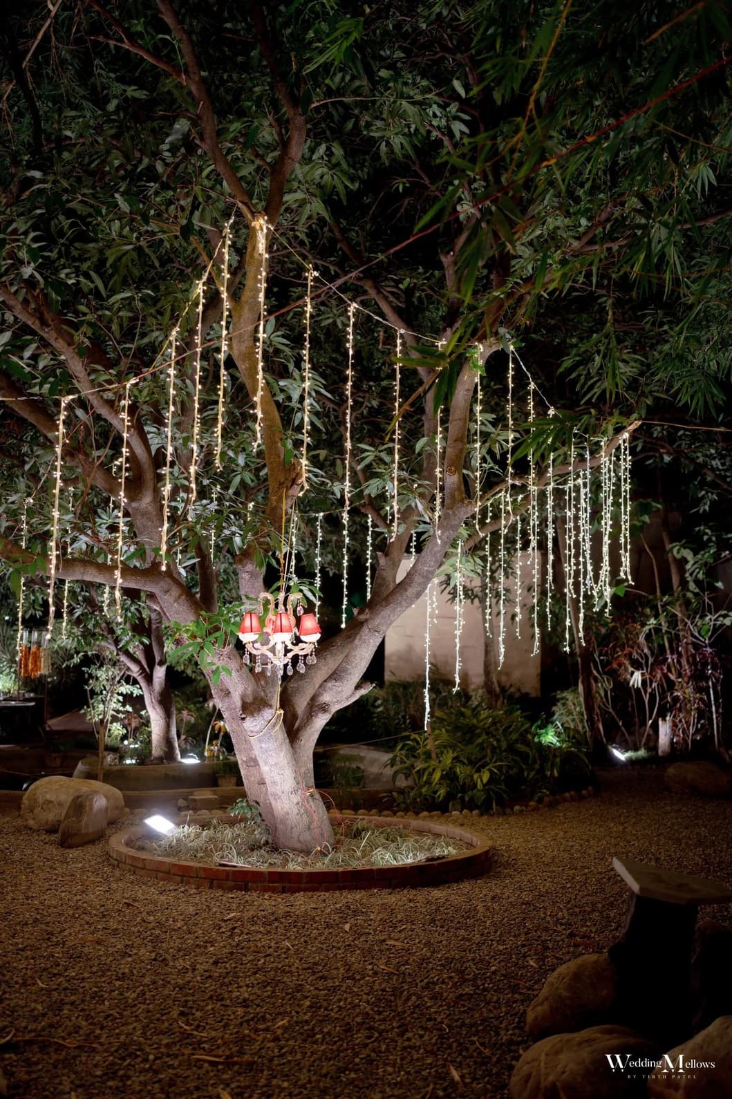 Best Wedding Resorts in Jim Corbett – Prices, Packages & Décor Photos - Why Tarangi Is a Top Choice