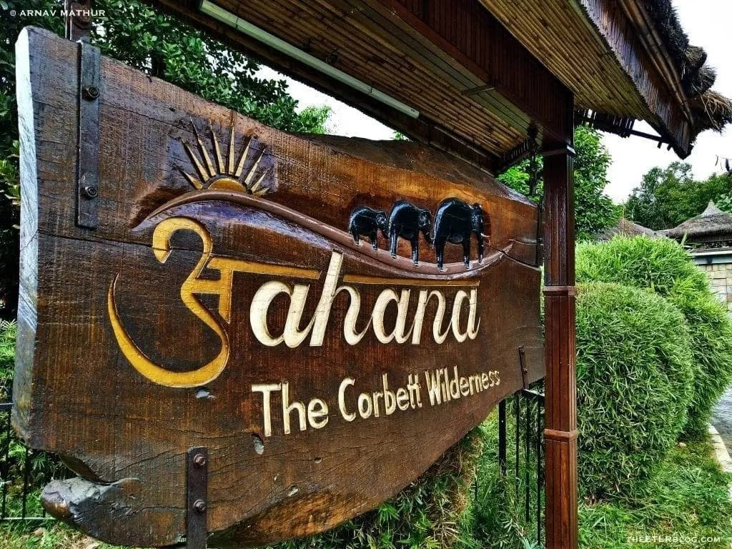 Best Wedding Resorts in Jim Corbett – Prices, Packages & Décor Photos - PS Decor's Luxury Décor Recommendations for Aahana