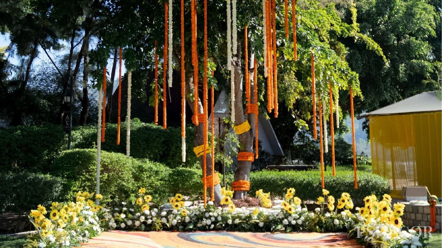 Complete Wedding Planning Checklist Step by Step (2026-27) - 10. Haldi Ceremony: Simplicity Meets Logistics