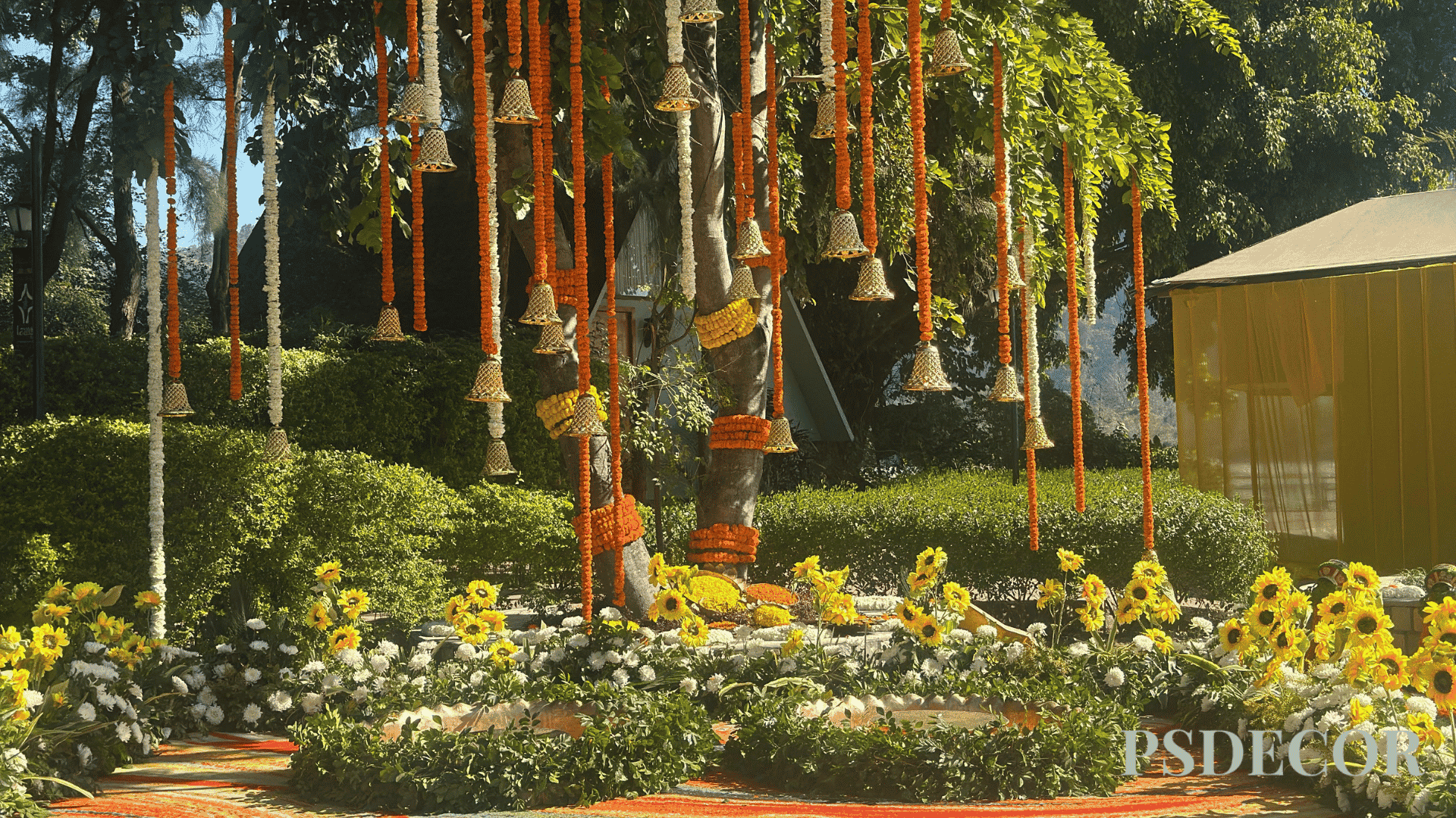 Beyond Gold and Glitter: How Gen Z Is Reimagining the Future of Luxury Weddings - Sustainability Is Becoming a New Luxury